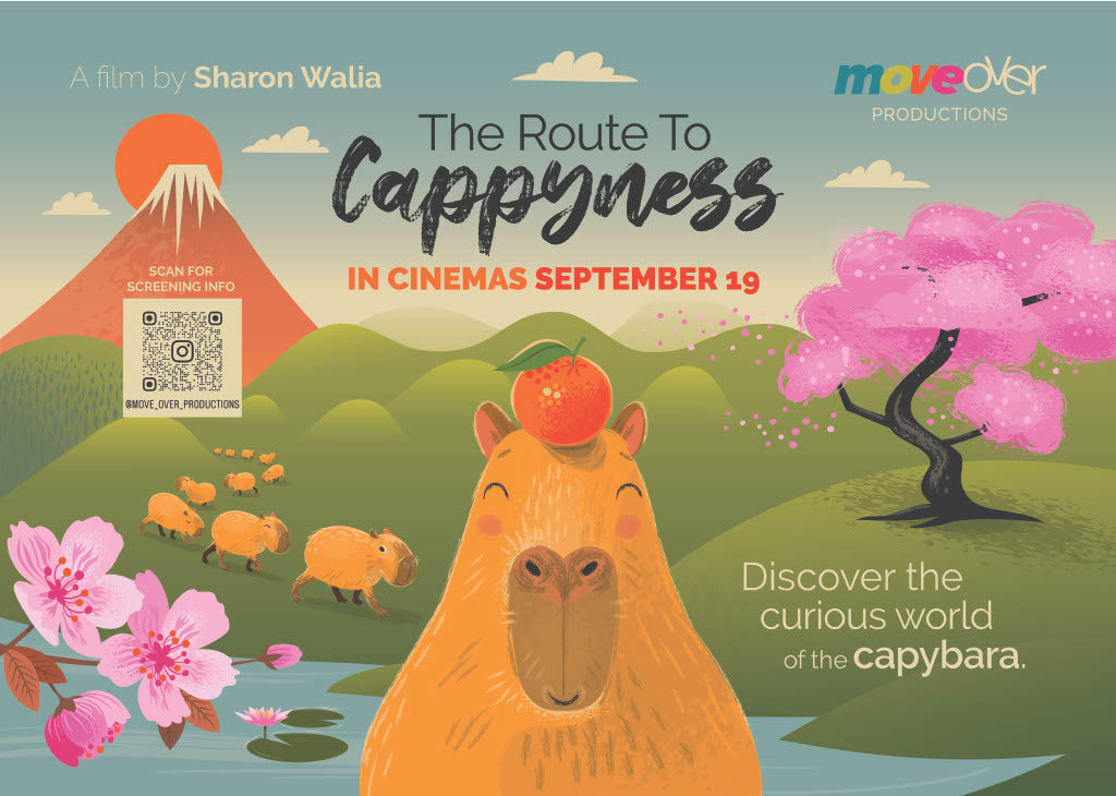 Cappyness Clusters